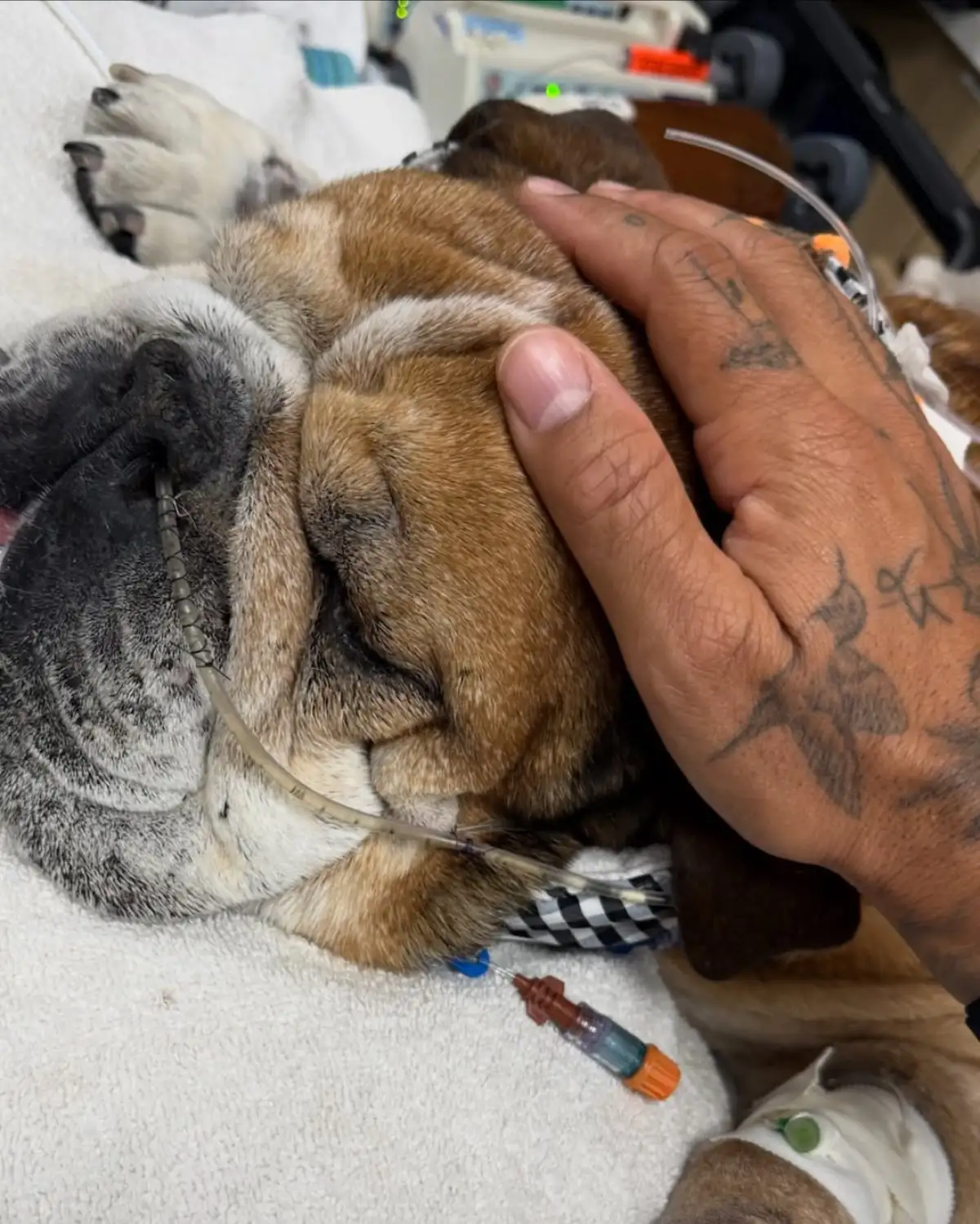 Roscoe-Hamilton-Hospitalizado.jpg