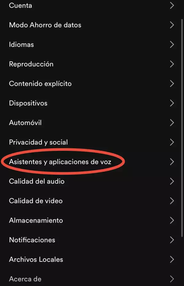 como-conectar-alexa-2