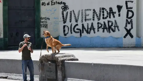 Un hombre joven convive con su perro en el Foro Lindbergh, mientras detrás se lee en una pinta: "Vivienda digna para CDMX".