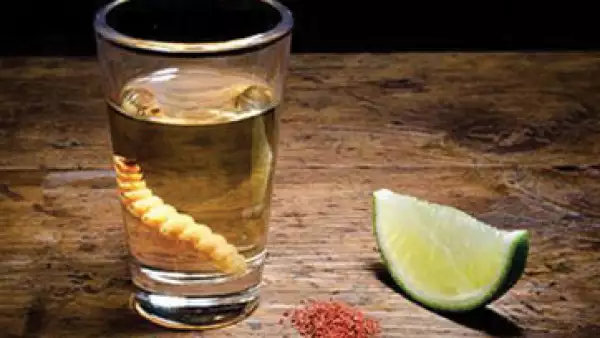 mezcal