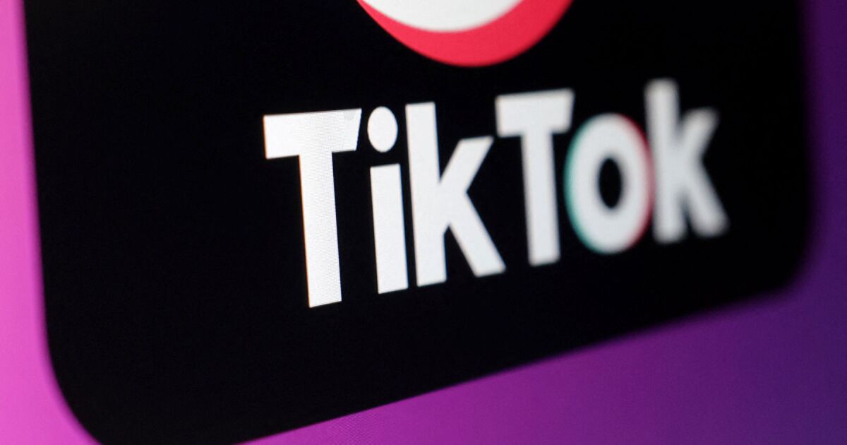 TikTok ABD'de kısmen yeniden kullanıma sunuldu