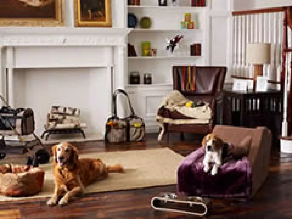 Oh my God supplies es la tienda para los perros elegantes. (Foto: CNNmoney)