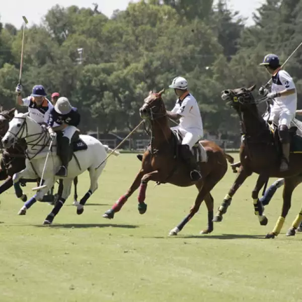 Torneo de Polo