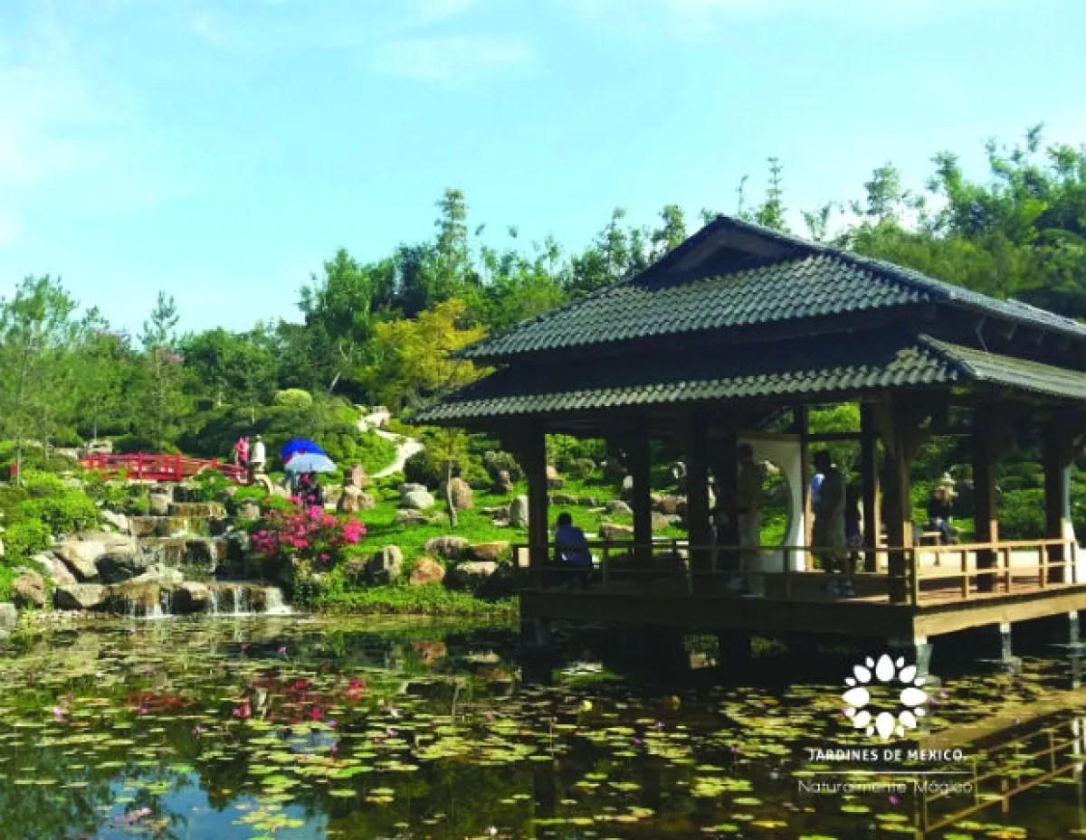 Una vista al jardín japonés, uno de los actractivos naturales que se encuentran dentro del parque.