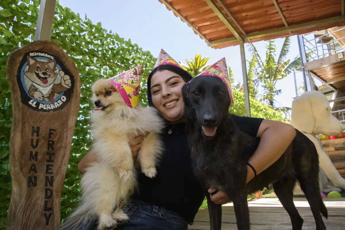 restaurante-perros-costa-rica