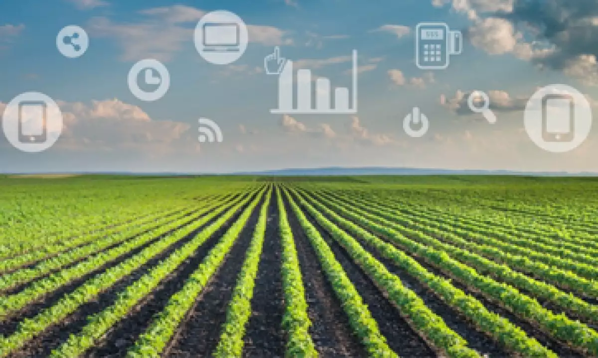 IoT_agroindustria