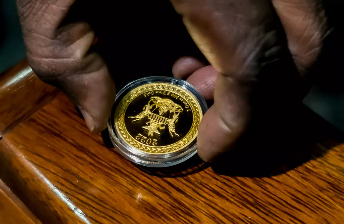 (El gobernador del Banco de la Reserva de Zimbabue muestra la nueva moneda de oro "Mosi-oa-Tunya" del país en Harare )