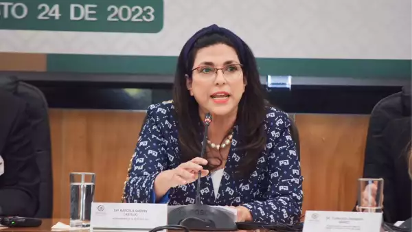 diputada Marcela Guerra .jpeg