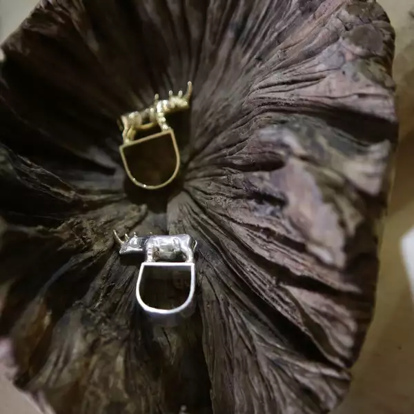 Feria Caravana Americana