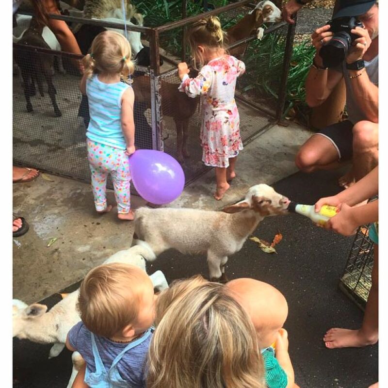 La actriz publicó una imagen en su Instagram en la que aparece con sus pequeños rodeados de animalitos, los cuales fueron llevados como parte de la fiesta.