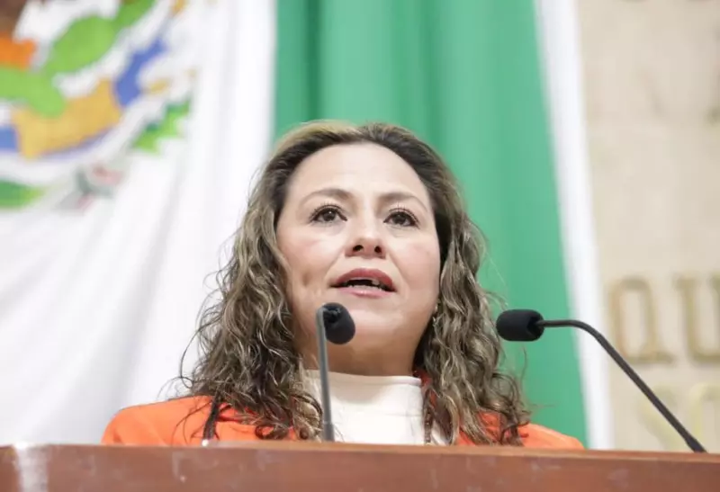 Diputada-Monica-Fernandez