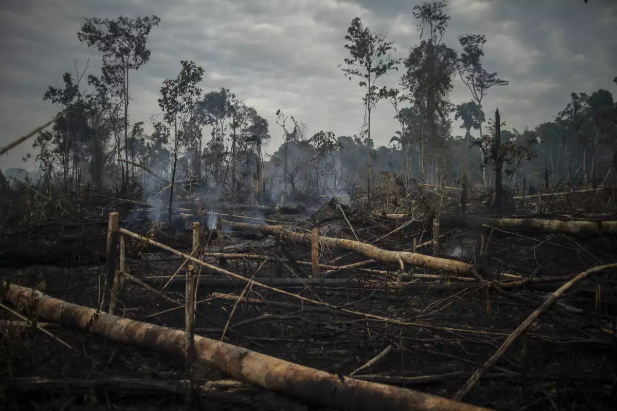 Deforestación de la Amazonía Brasileña