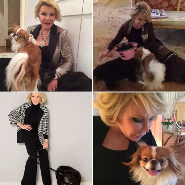 En la cuenta de Instagram de la comediante que permanece activa, coleccionó los mejores momentos junto a sus perros.