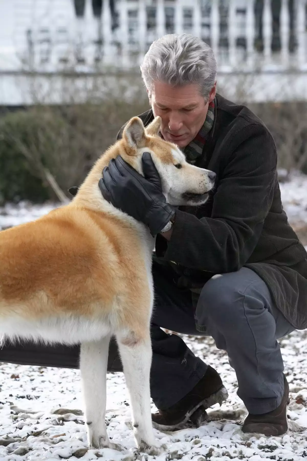 Hachi: A Dog's Tale