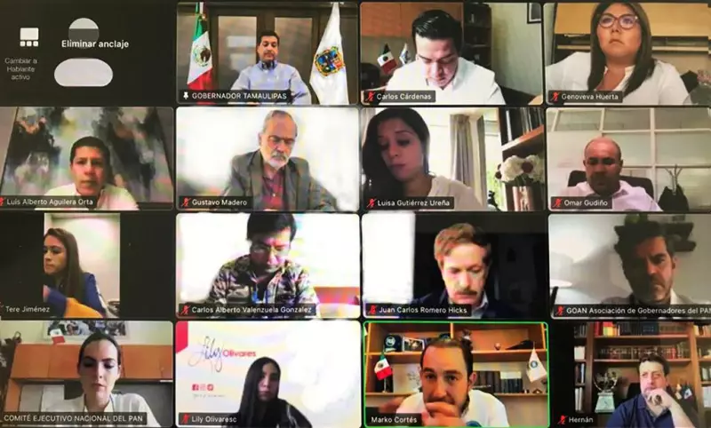 El gobernador de Tamaulipas, , Francisco Javier Cabeza de Vaca, reapareció en reunión, vía Zoom, con la comisión permanente del PAN