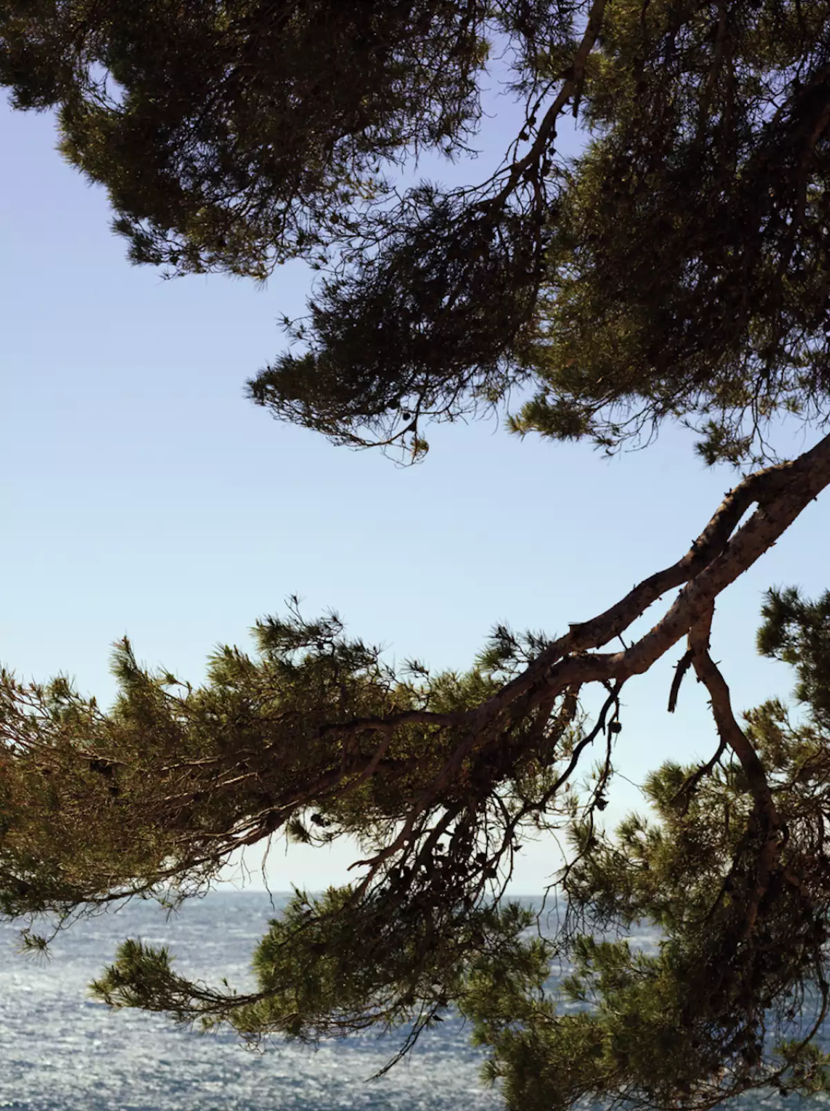 la inspiración.png