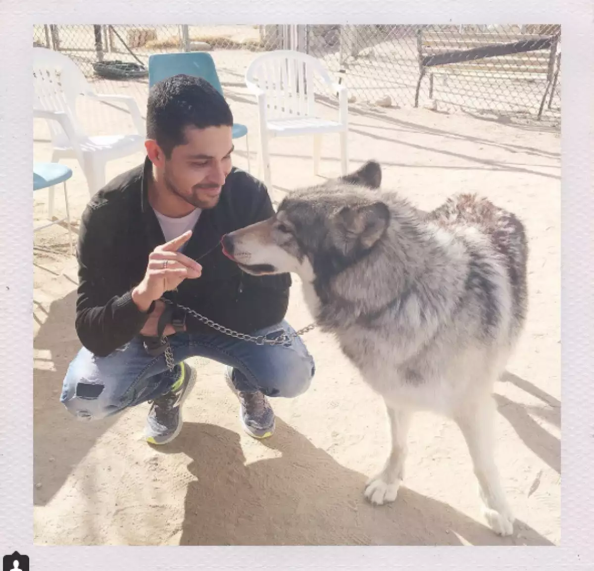 La cantante celebró con su novio el cumple 36 de éste, llevándolo a un refugio de lobos en California.