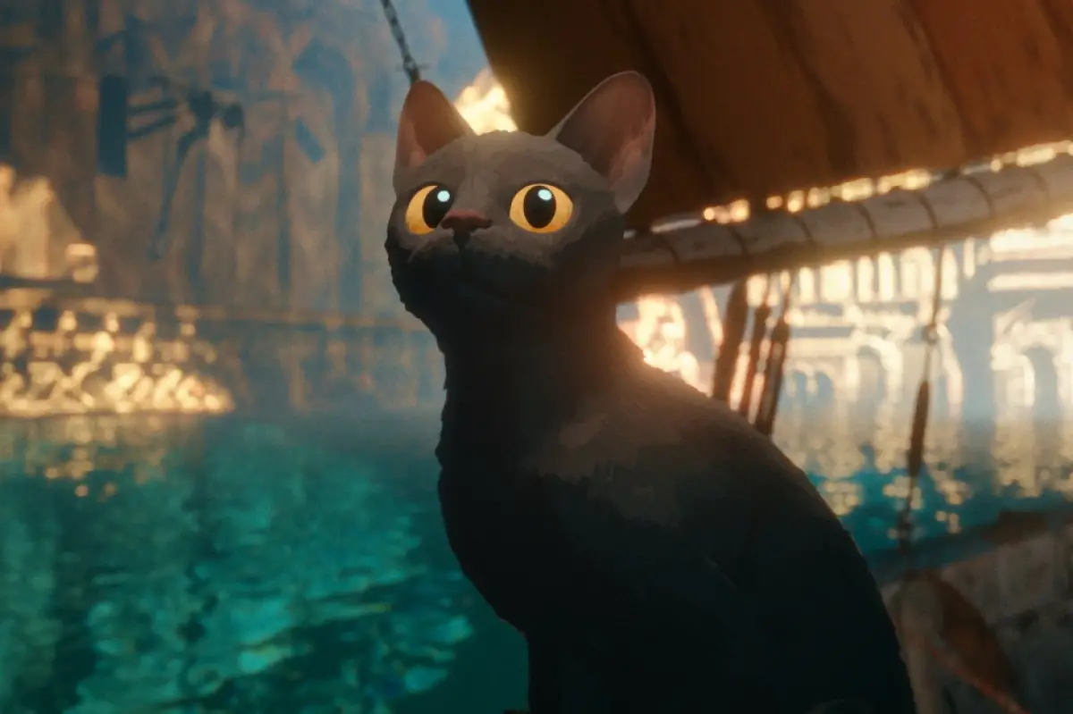 Gato de color negro con mirada preocupada viendo hacia el horizonte