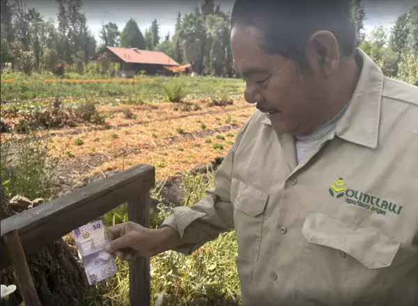 billete-ajolote-50-pesos