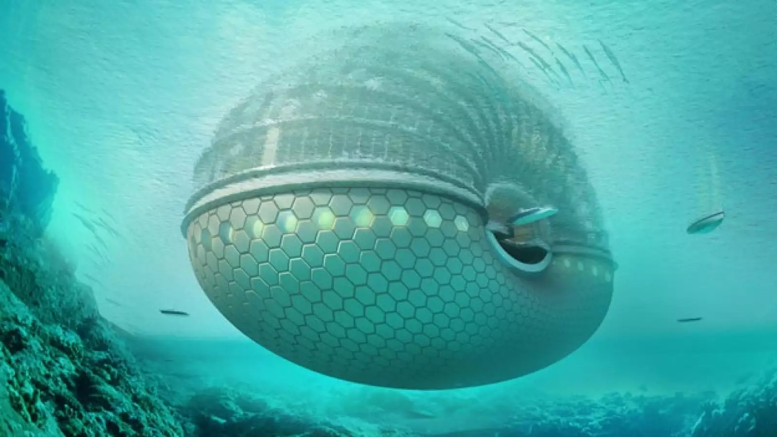 arca ecológica gal07