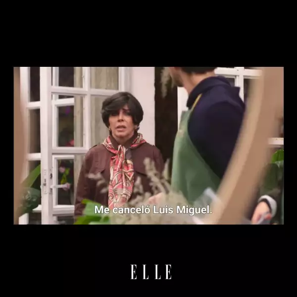 La-Casa-De-Las-Flores-Meme-ELLE-06