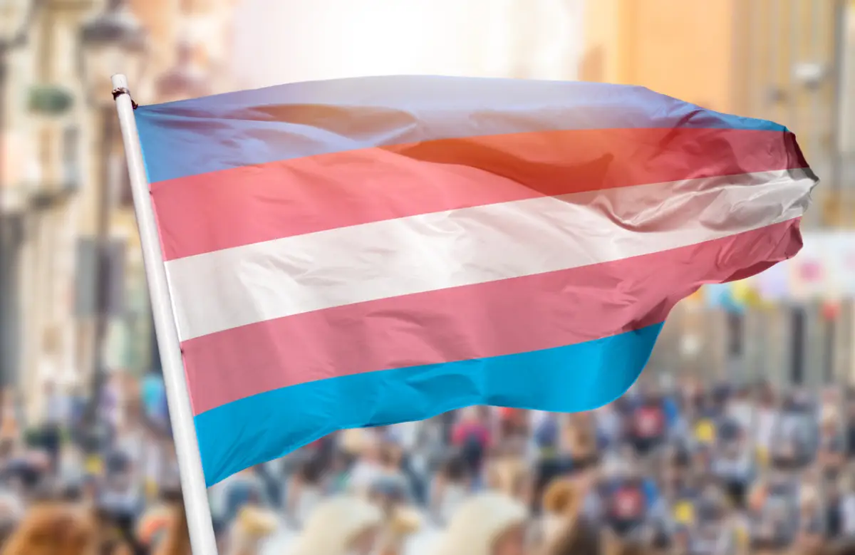 transgender flag blowing
