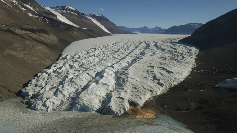 Noviembre 11, 2016. Nueva Zelanda