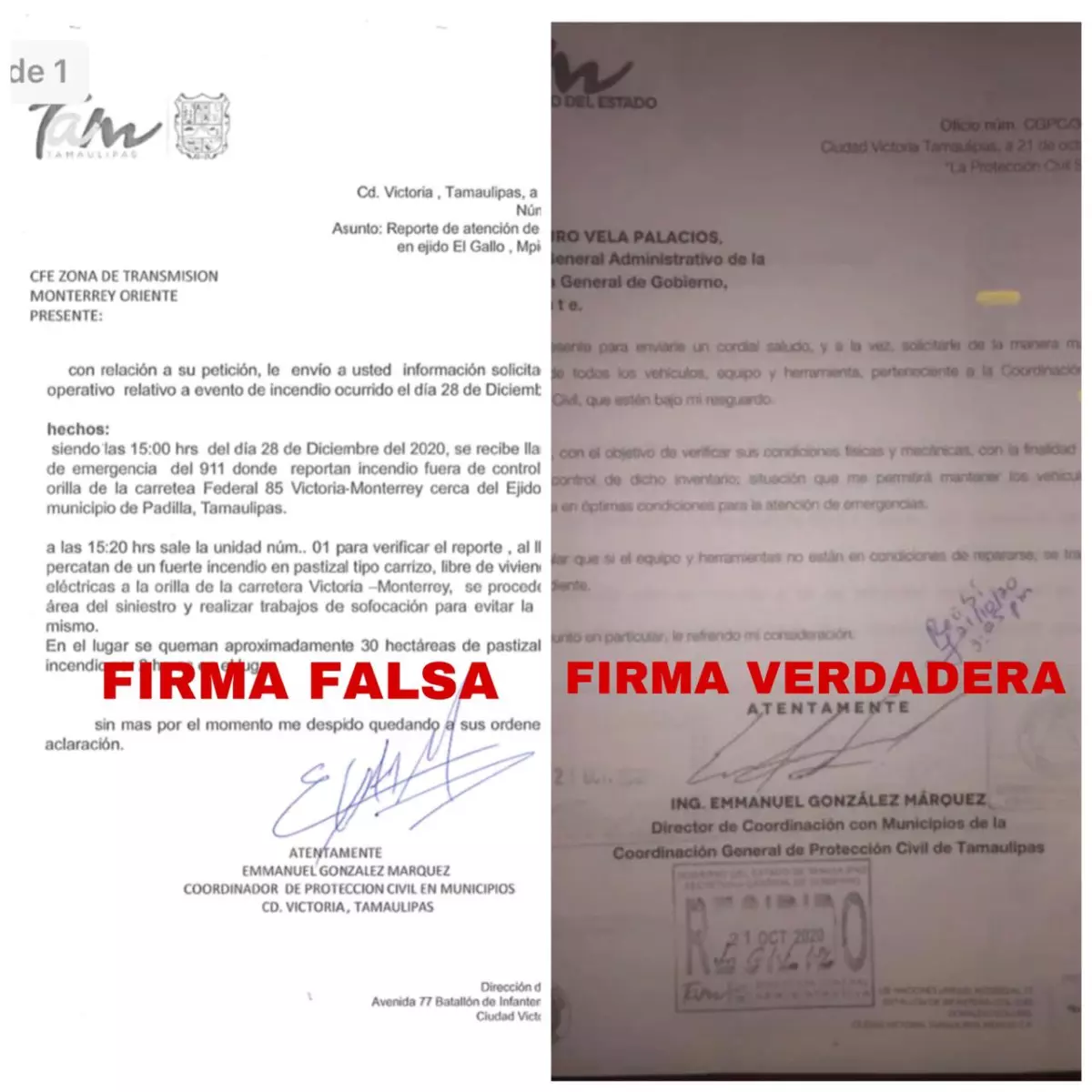 Firma falsa.jpeg