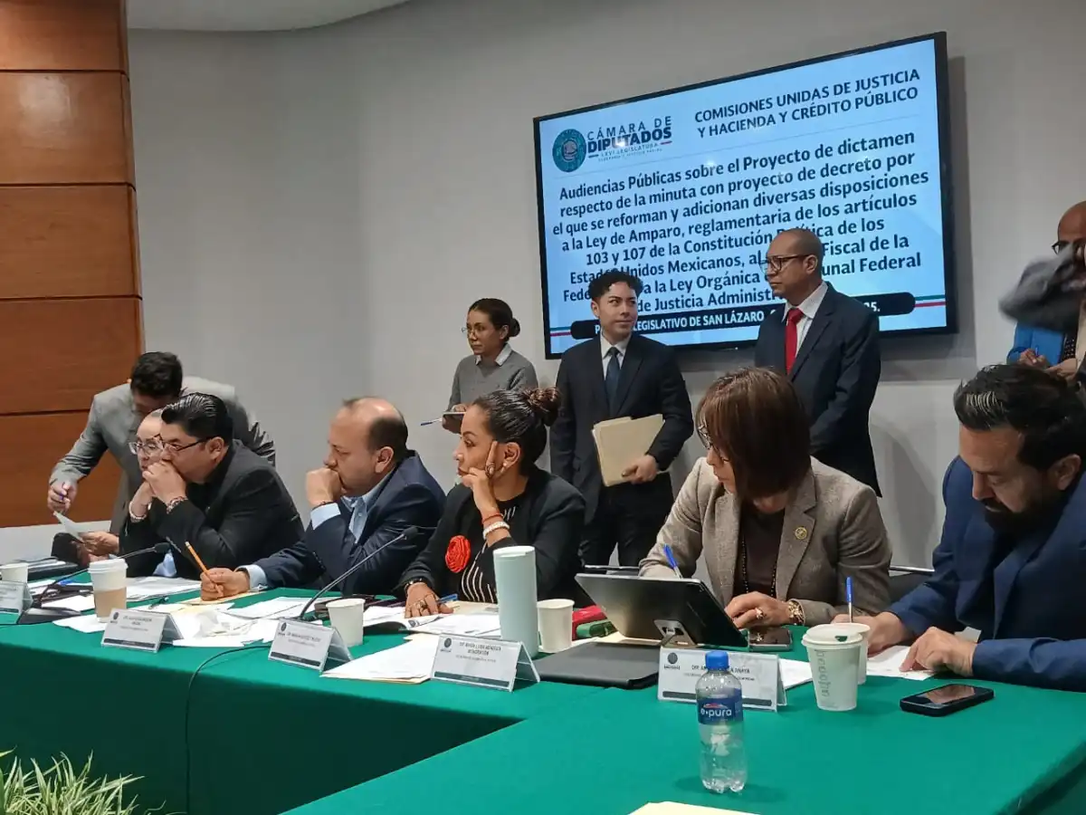 audiencias-ley de amparo-diputados
