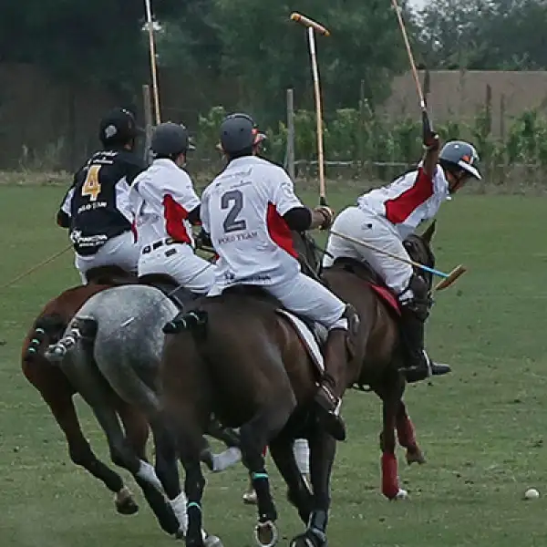 Partido de Polo