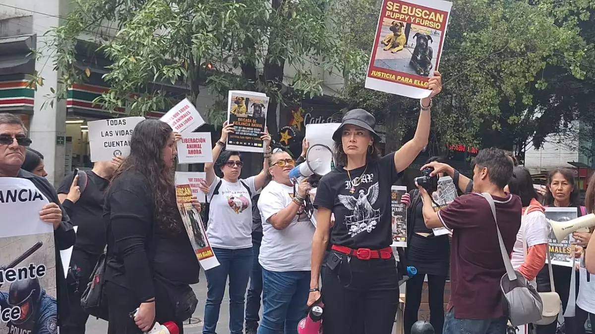 brigada-animal.jpg