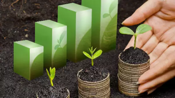 econom�a verde