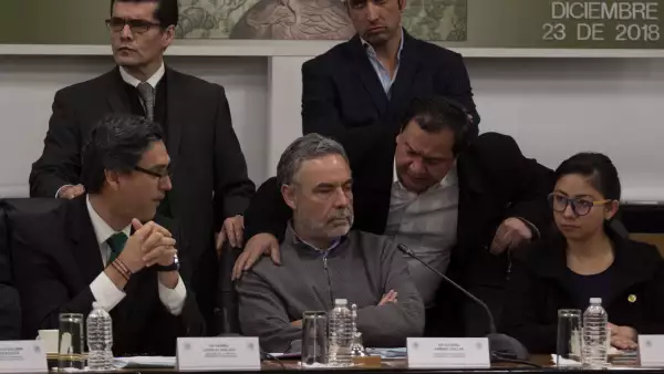 Diputados en domingo