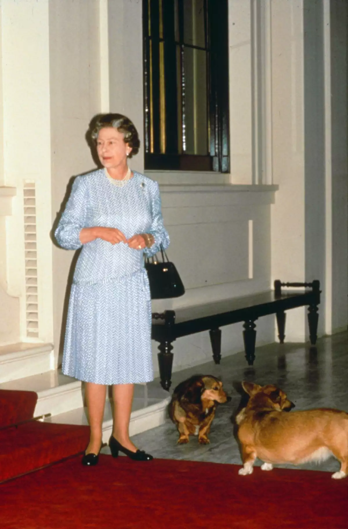reina Isabel y sus Corgis