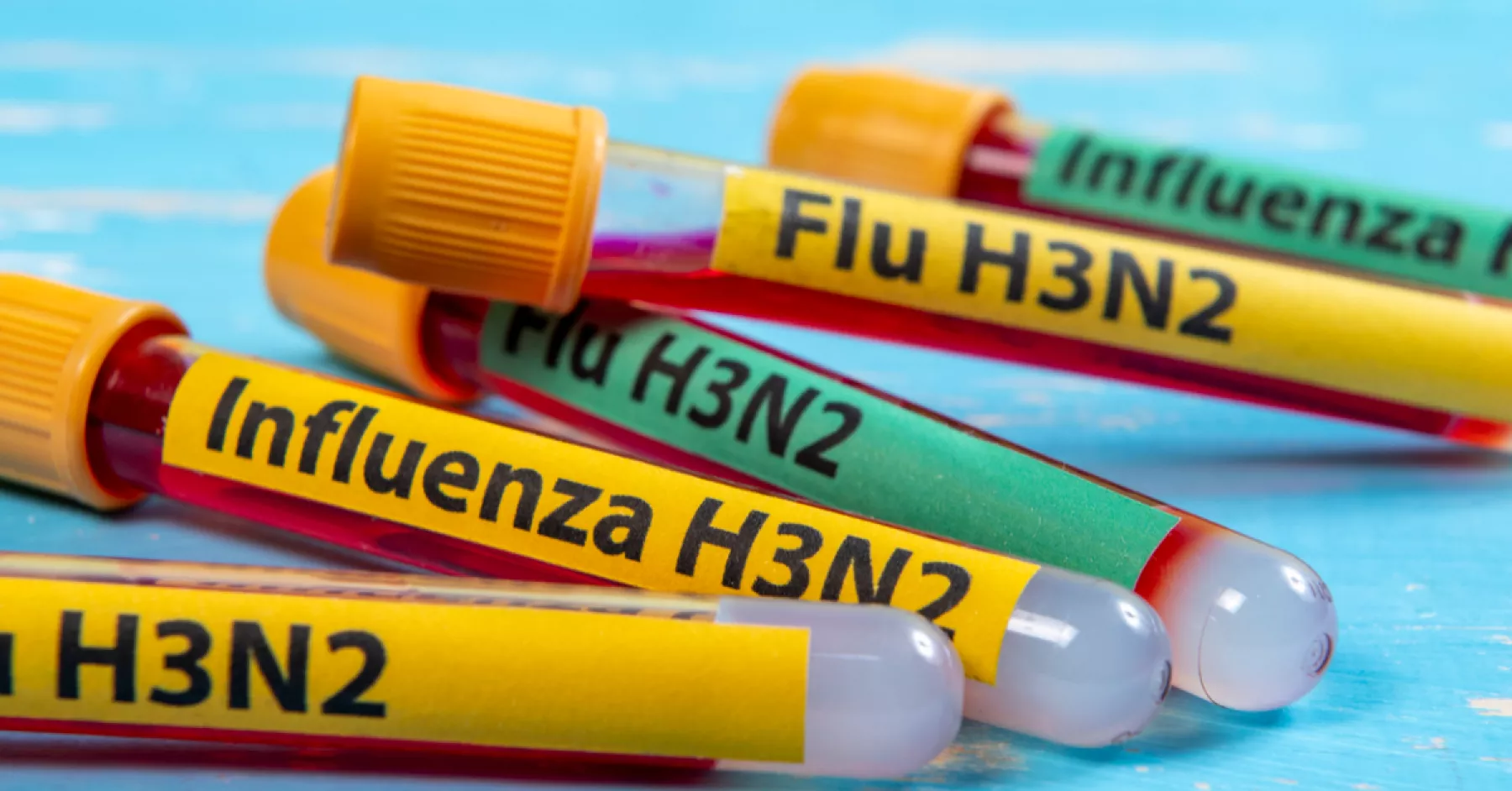 La influenza H3N2 se expande y causa hospitalizaciones en países: qué es y cuáles son sus síntomas