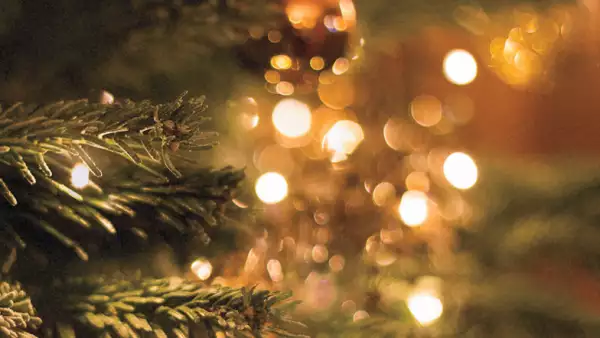 verde-navidad