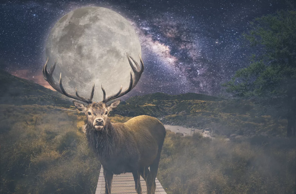 luna de ciervo julio 2024