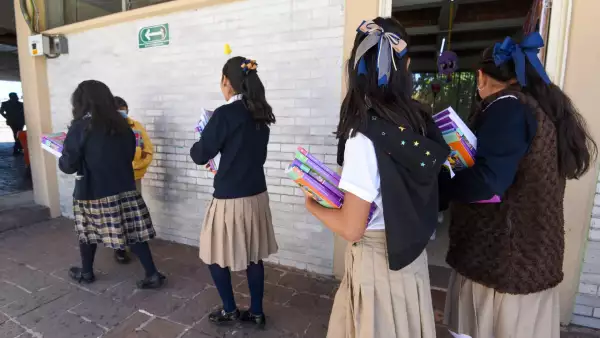 Rezago educativo