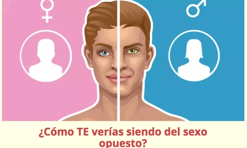 Sexo opuesto