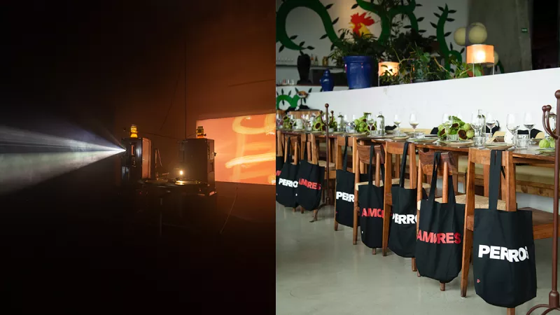 sueño-perro-lagoalgo