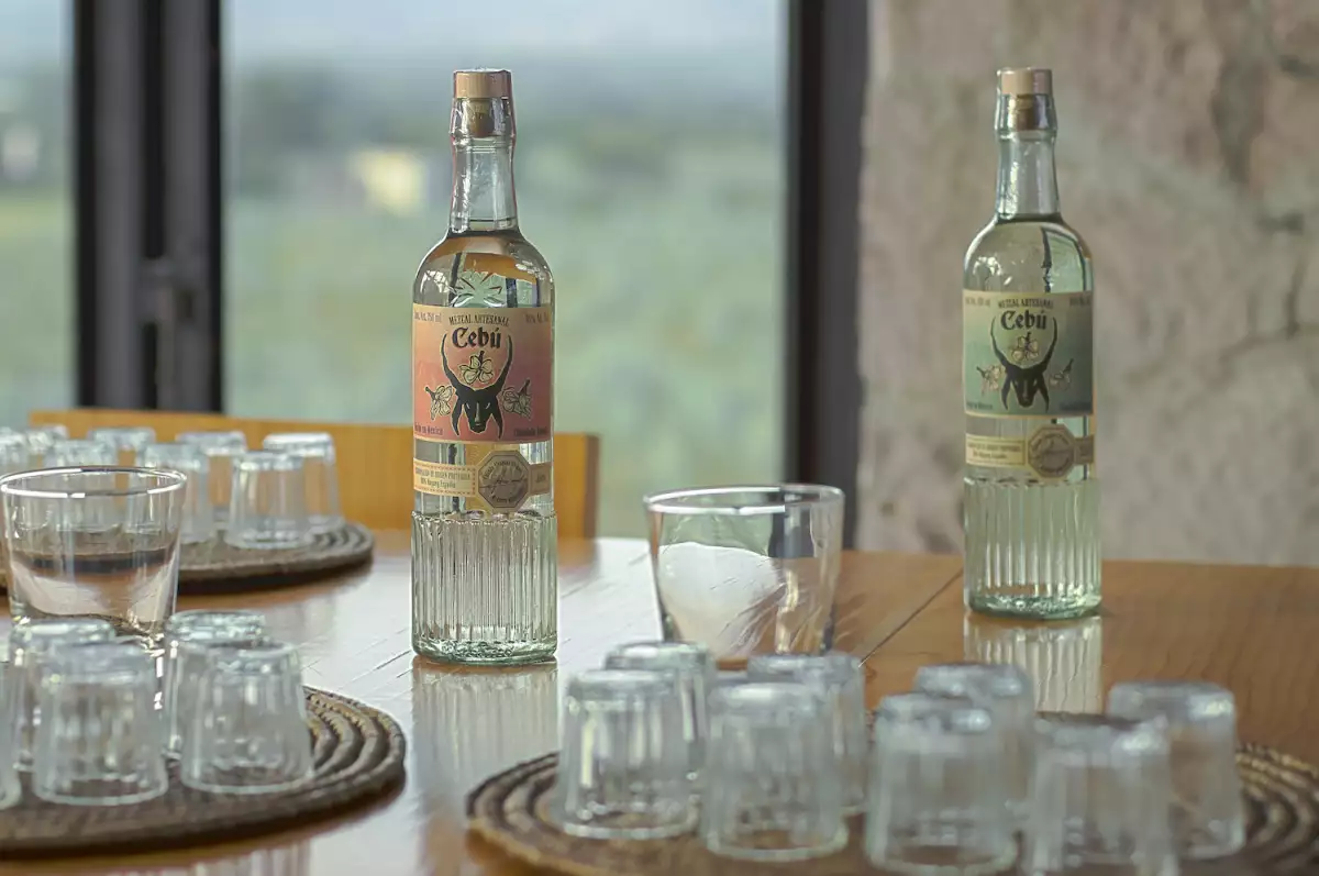 Cebú Tony Petate.jpeg