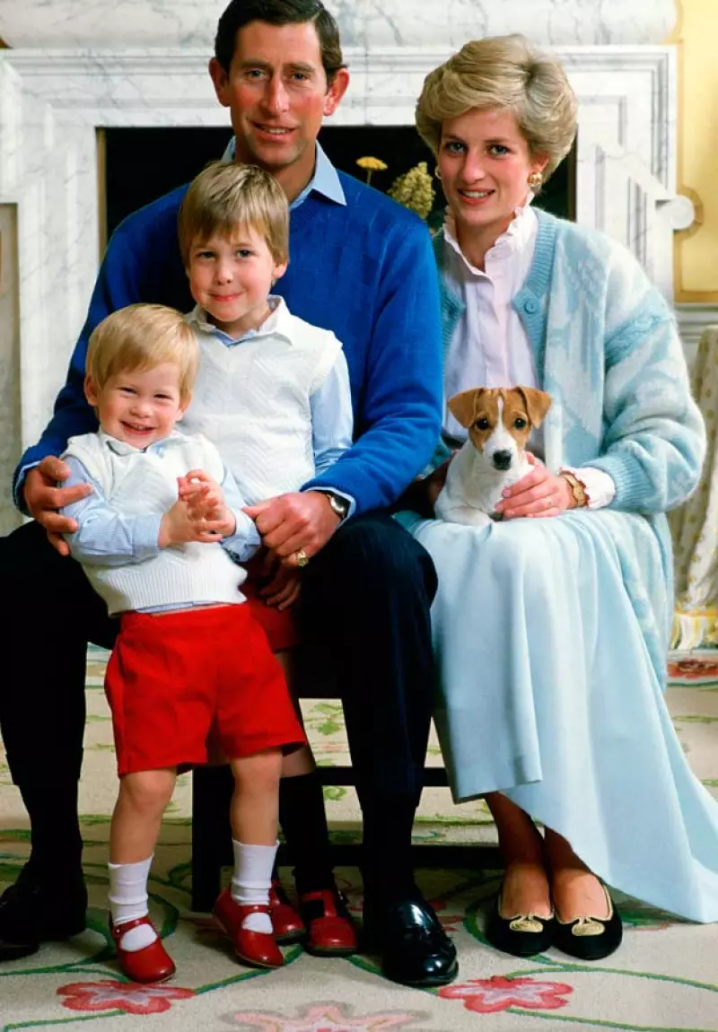 Diana tuvo dos hijos, William y Harry, de los dos, Will es el heredero al trono después de su padre, el príncipe Carlos.