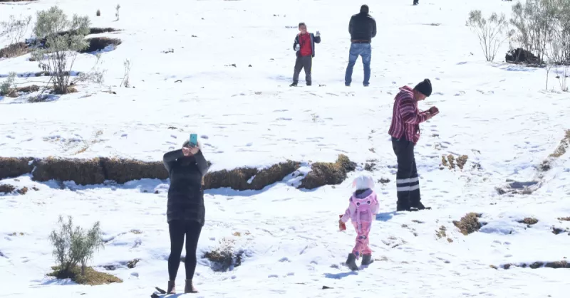 Saca la cobija del tigre: ¿Cuántos frentes fríos se prevén para la temporada 2025-2026?