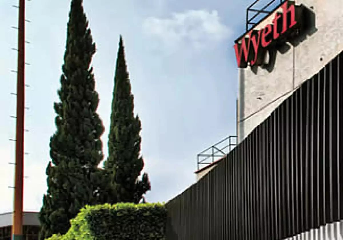Para Wyeth, lugar 198 de las 500 empresas más importantes de México, el 2008 fue una historia de éxodos y fusiones. (Foto: Ramón Sánchez Belmont)
