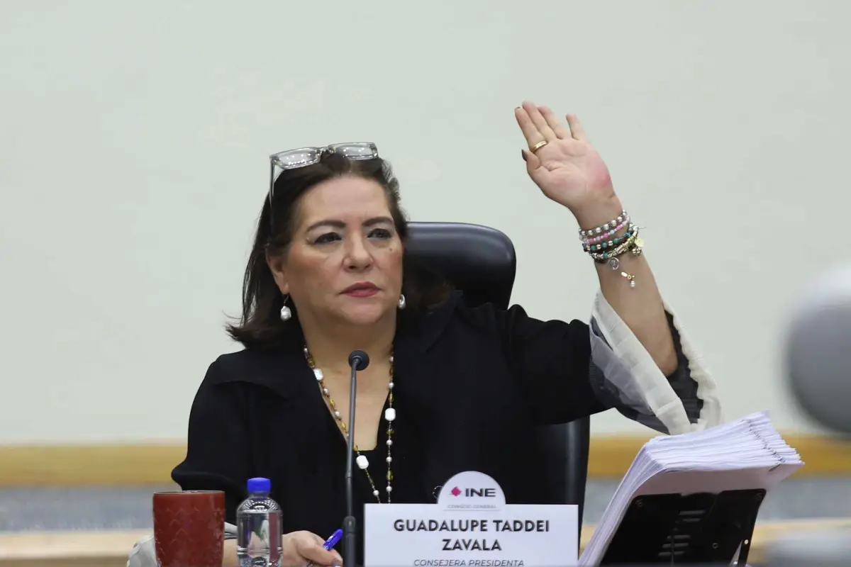 guadalupe taddei ine