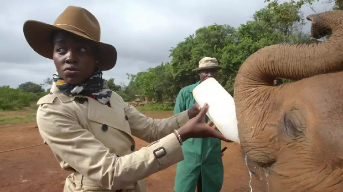 En otra imagen podemos ver a la actriz alimentando a un pequeño elefante.