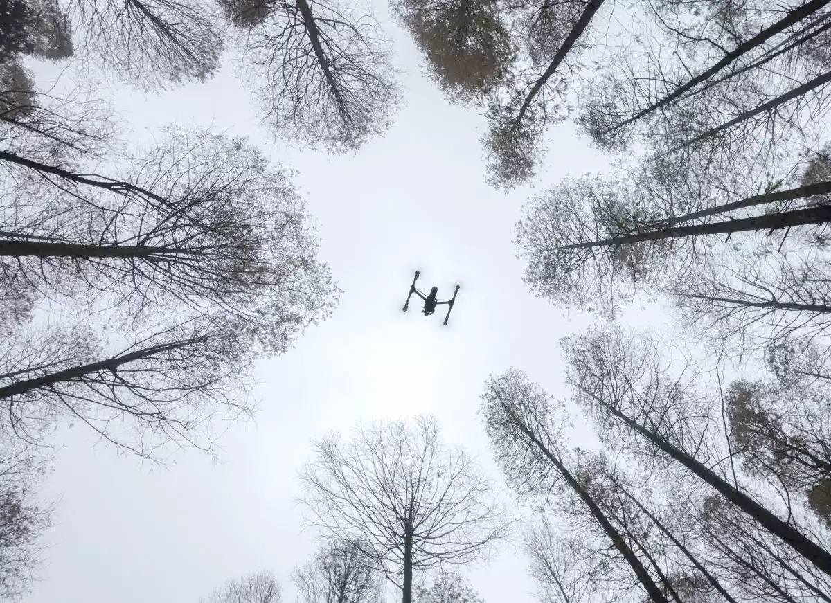 La mejores fotos de drones