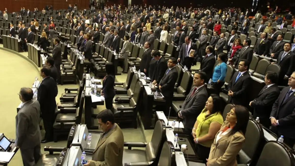 diputados