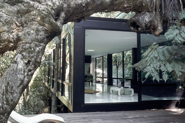 Chris Tate Forest House