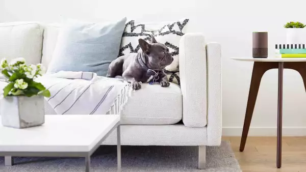 Walnut Echo, Living Room Hires.jpg